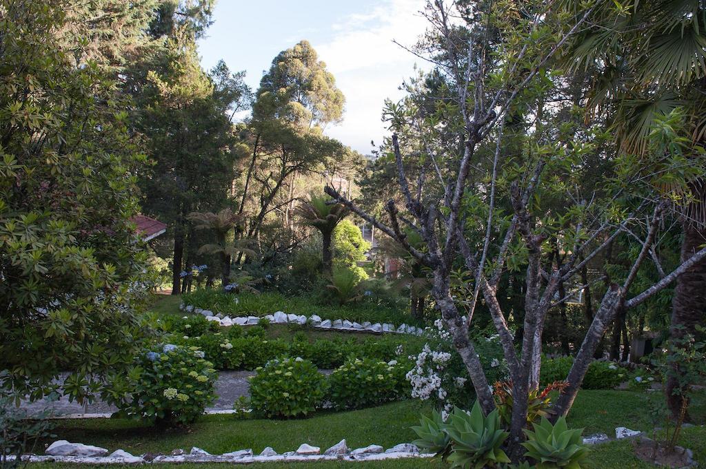 Hotel Vila Regina Campos do Jordão Eksteriør bilde